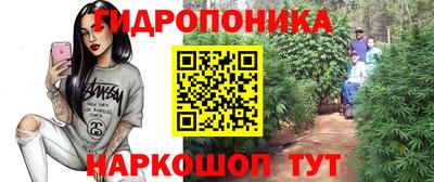 мдпв Абакан