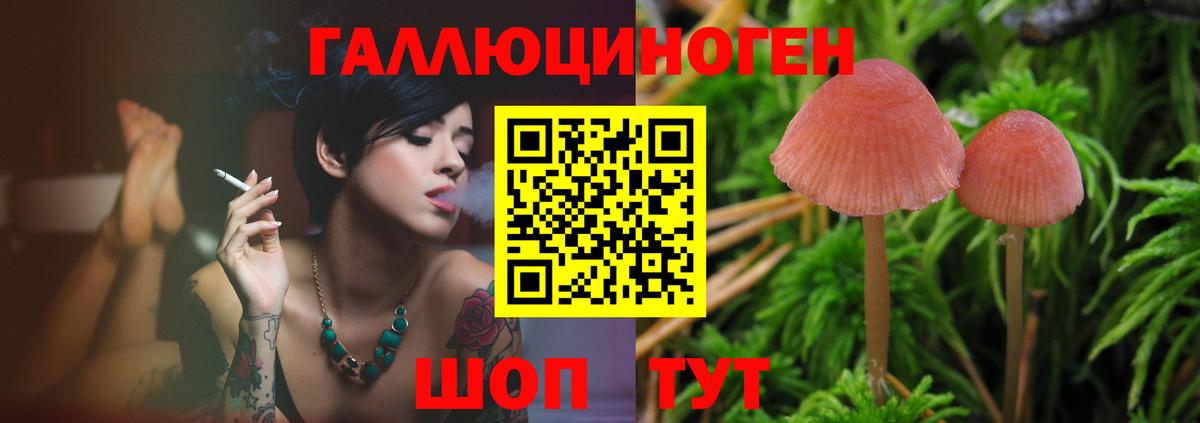 Галлюциногенные грибы Psilocybine cubensis Ангарск
